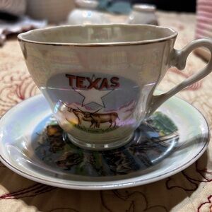 Texas Souvenir Decorative tea cup and saucer set